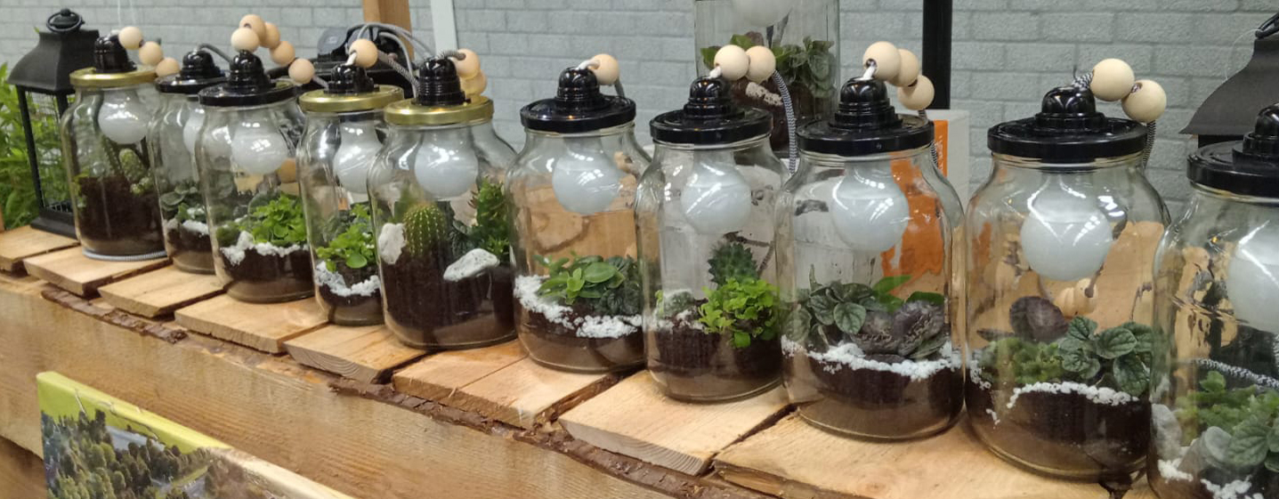 Plantjes in Kesbeke pot